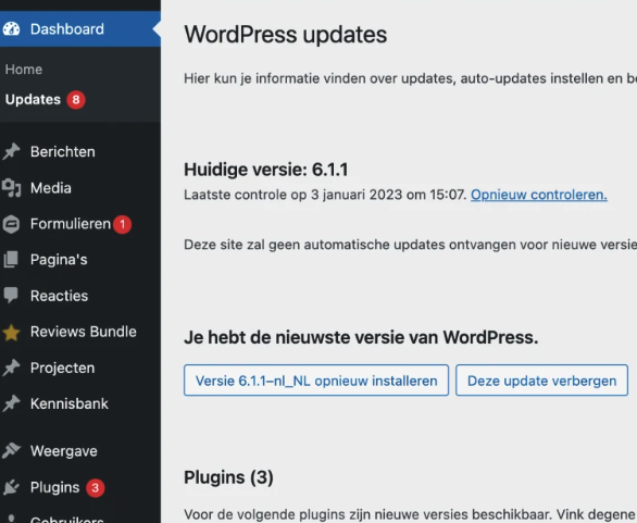 Wordpress updates IDV